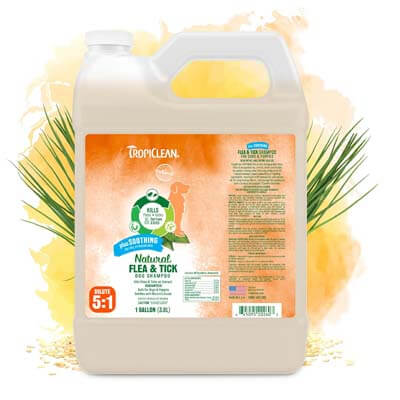 tropiclean flea shampoo flea tropicaclean