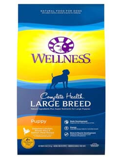 wellness dog food