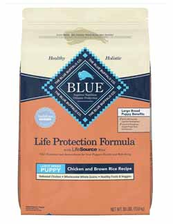 Bullmastiff Care 3 Bullmastiff Care 3