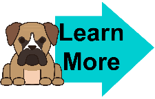 bullmastiff learn more bullmastiff learn more