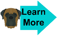 bullmastiff vector image