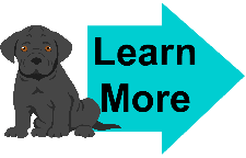 cane corso puppy vector cane corso puppy vector