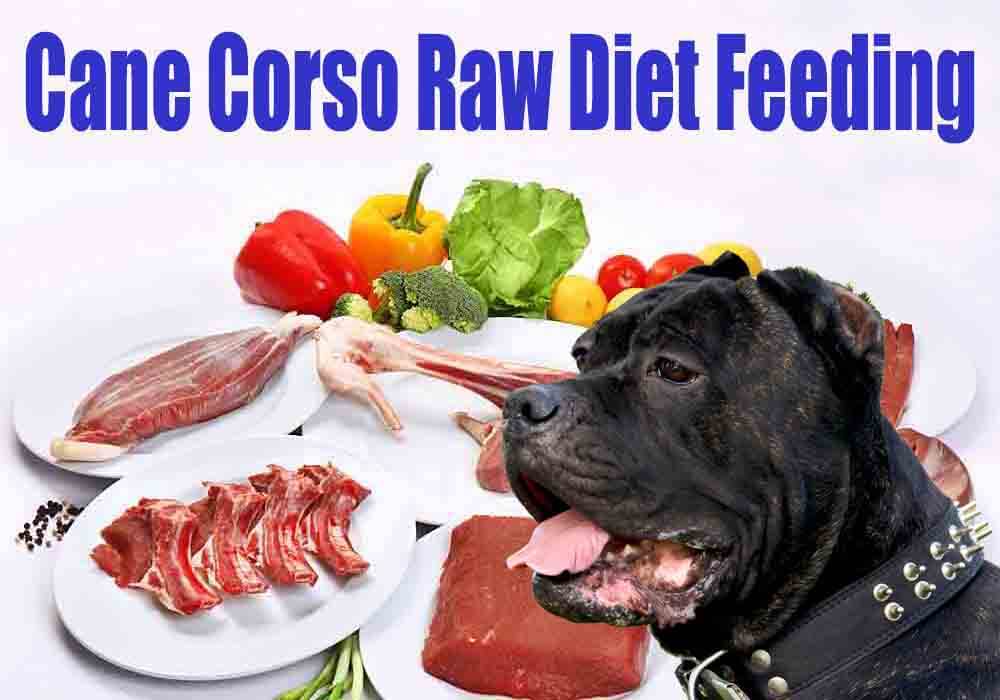 Raw diet puppy food