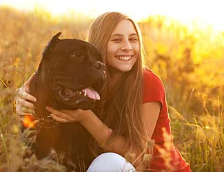 Best pet insurances for Mastiffs