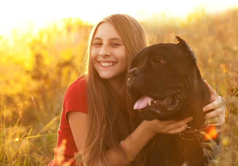 are cane corso good for hiking