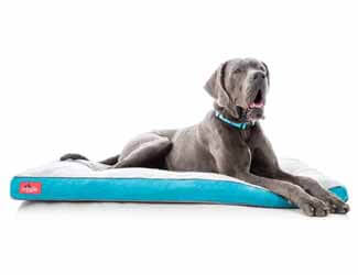 Best dog beds for Mastiffs Mastiff dog beds