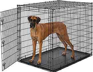 How to crate train a Mastiff puppy
