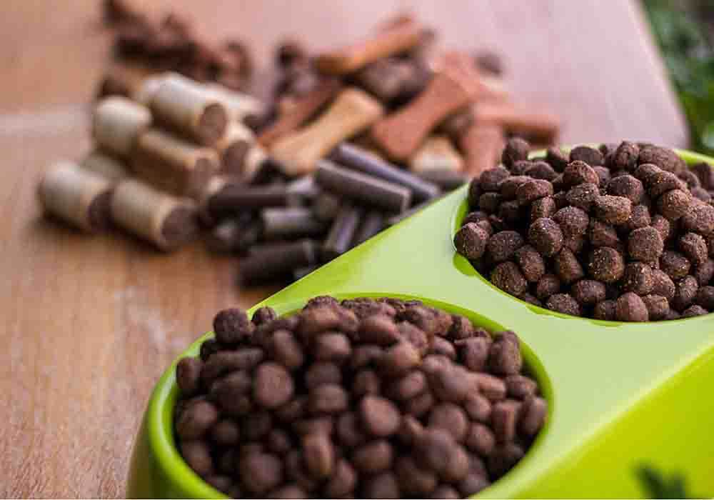 mastiff food, what is the cost of feeding a mastiff