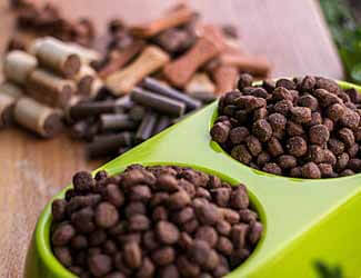 cane corso feeding guide dog food for larger breed