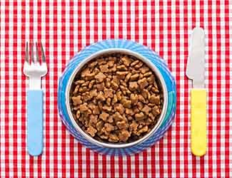 Mastiff puppy feeding guide and schedule