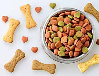 How to feed a Mastiff puppy