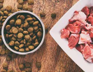 bullmastiff feeding information bullmastiff feeding information