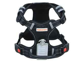 Best harness for Mastiffs Mastiff harness