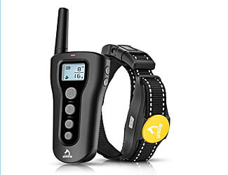 Best training collars for Mastiffs Mastiff training collar