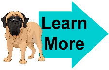 english mastiff vector image english mastiff learn more