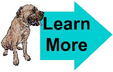mastiff learn more graphic mastiff learn more graphic
