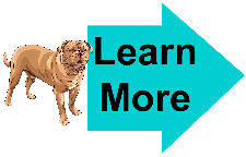 french mastiff learn more french mastiff learn more