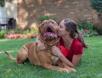 french mastiff with woman