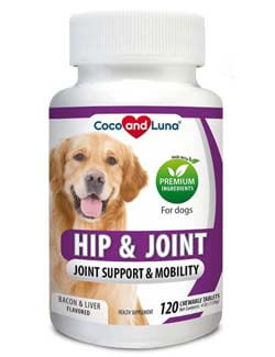 glucosimine dog suppliment