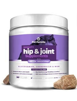 dog joint suppliment