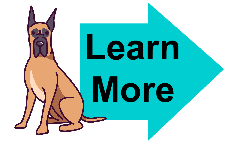 great danes traits and qualities great danes traits and qualities