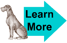 Great Dane Learn More1 Great Dane Learn More1