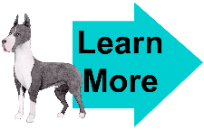 are great danes good family dogs