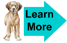 raw feeding of mastiff learn more raw feeding of mastiff learn more