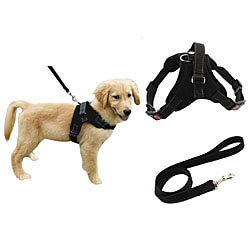 Choosing the best harness for a Mastiff can be made much easier and faster when you follow our helpful sizing tips and harness recommendations.