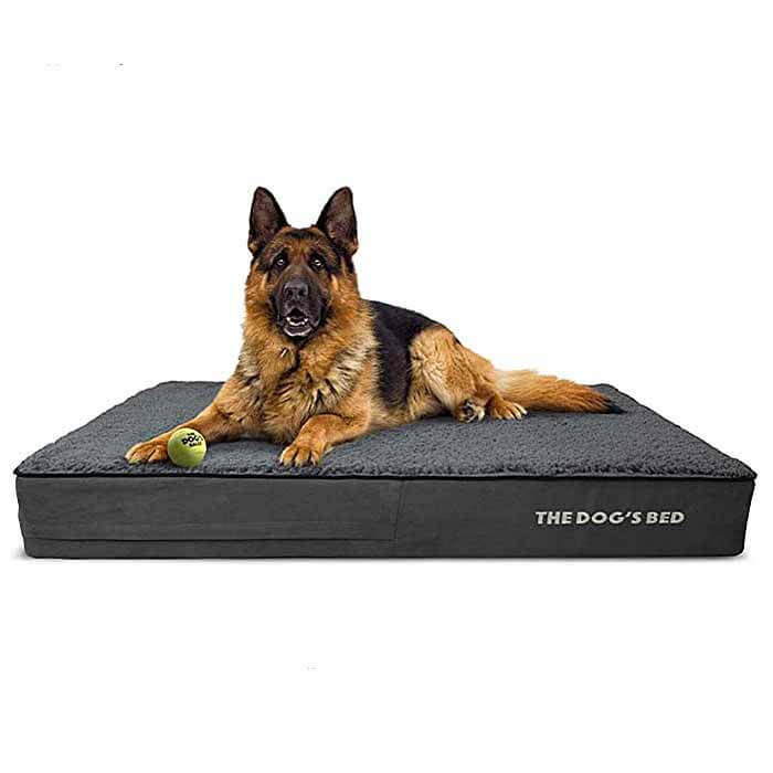 large dog on orthopedic bed large dog on orthopedic bed