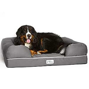 dog loving his new bed dog loving his new bed