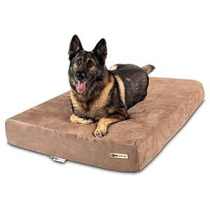 dog resting on an orthopedic bed dog resting on an orthopedic bed