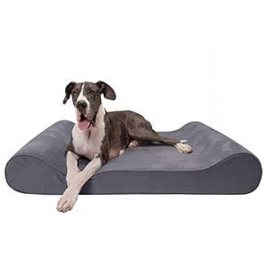 dog resting on a therapeutic bed dog resting on a therapeutic bed