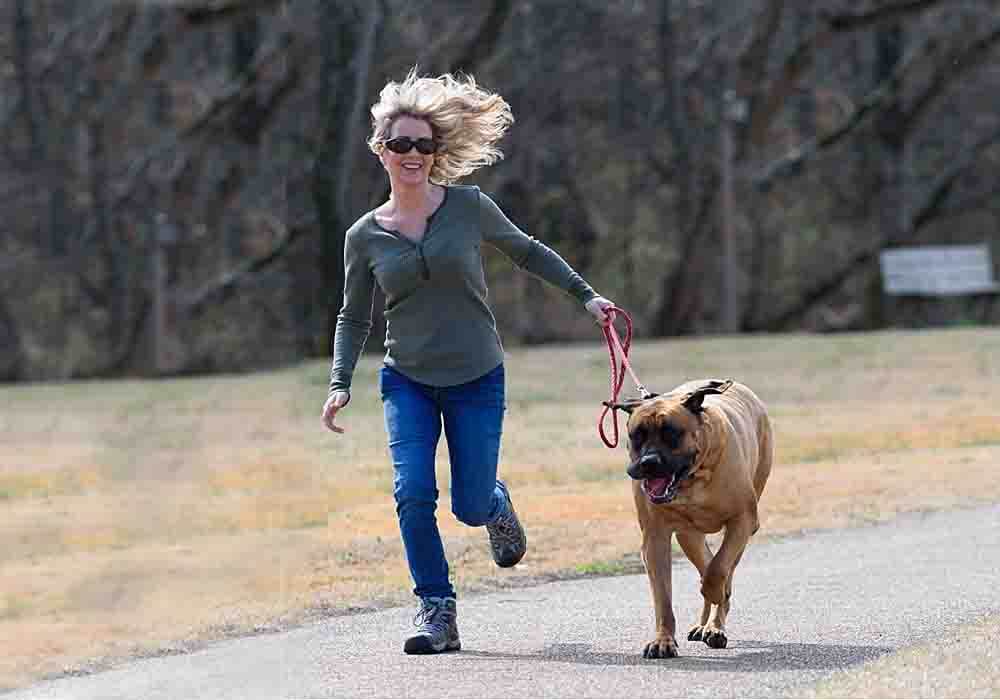 when do mastiffs start drooling