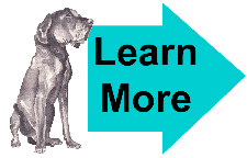 neopolitan mastiff learn more image