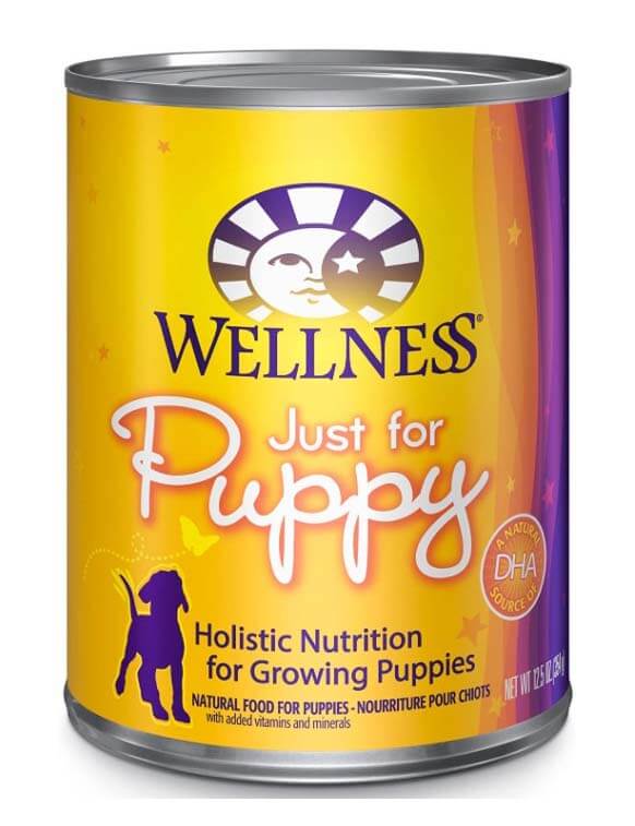 wellness puppy food