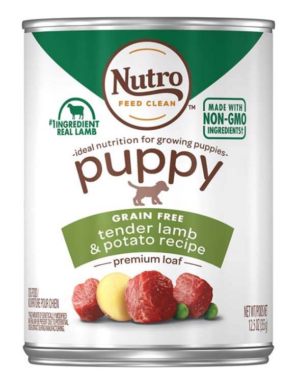nutro puppy food