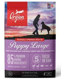 Bullmastiff Care 2 Bullmastiff Care 2