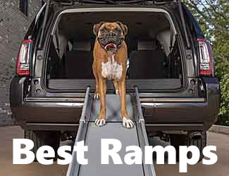dog ramps