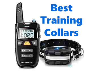 Dog training collar