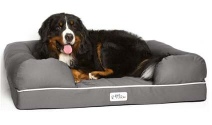 petfusion dog bed