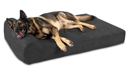 big barker dog bed