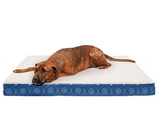furhaven dog bed
