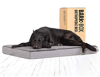 barkbox memory foam dog bed
