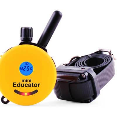 shock collar 4 shock collar 4