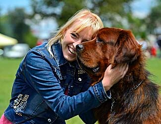 Mastiff dog health problems and concerns