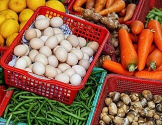 what foods can cane corsos eat and not eat Various Foods for dogs to eat
