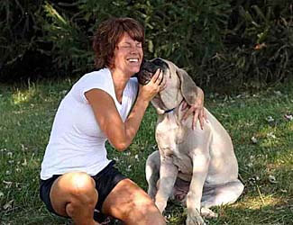 Mastiff getting social with a girl