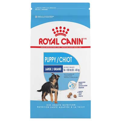 royal canin dog food dog food