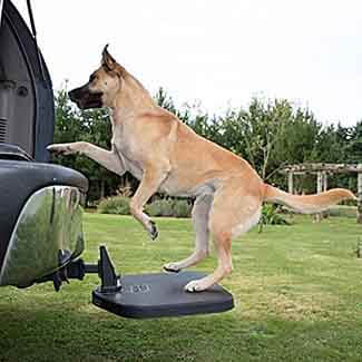 What are the 6 best dog ramps for Mastiffs? This helpful guide explains the different types suited for your Mastiffs needs as well as your lifestyle and budget.